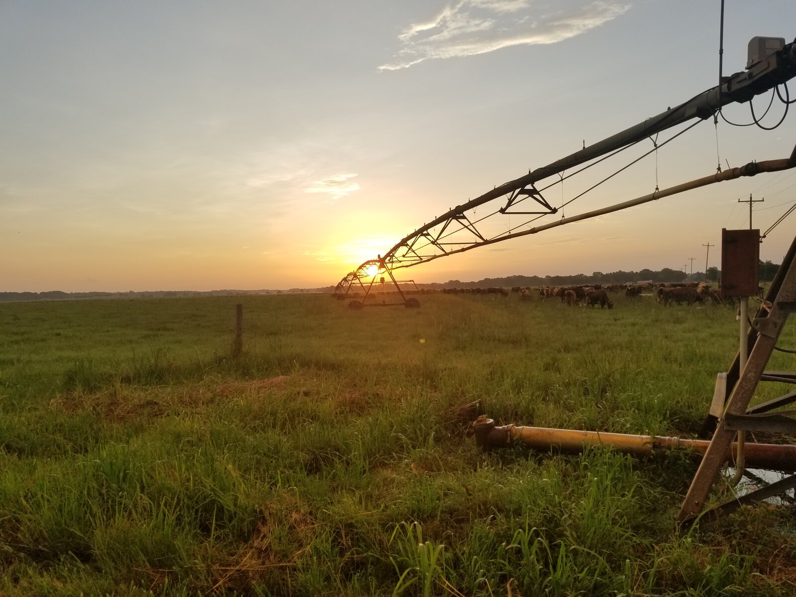 Sun rising over a fence line and misty pasture